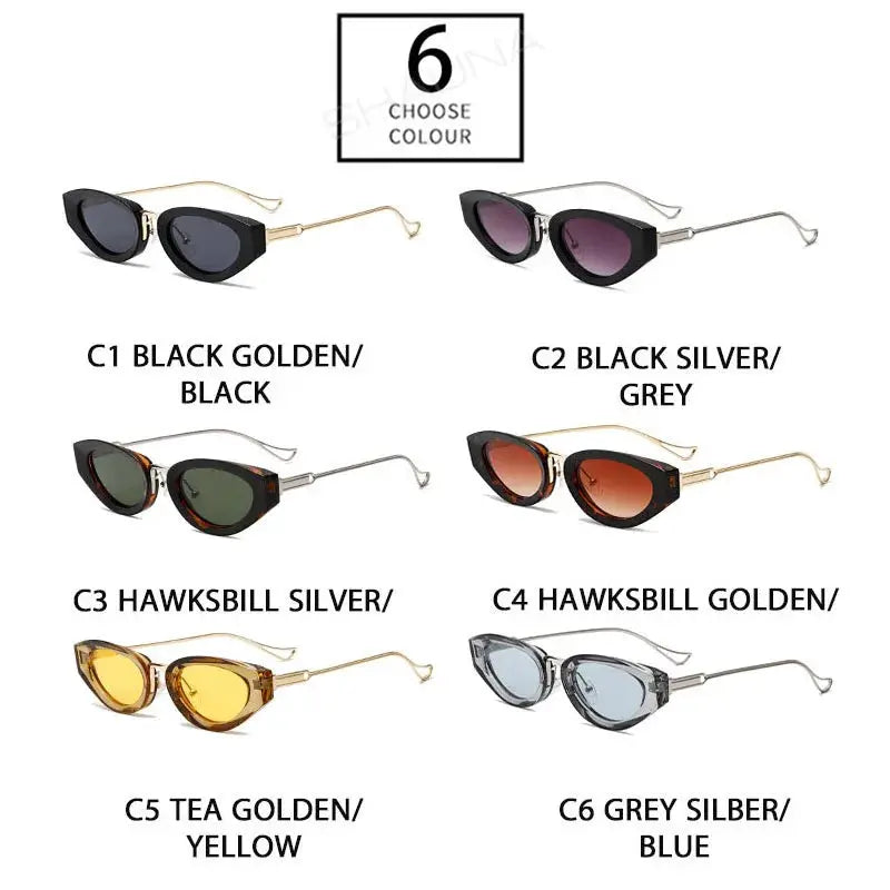 Aurelle Tortoiseshell Gradient Lenses Sunglasses Astroshadez by ASTROSHADEZ.COM