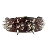 2inch Wide Cool Sharp Spiked Studded Leather Dog Collars 15-24' For Large Breeds Pitbull Mastiff Boxer Bully 4 Sizes-ASTROSHADEZ.COM-Brown-S-ASTROSHADEZ.COM